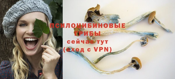 ешки Надым