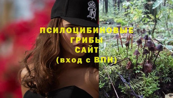 стафф Нефтегорск