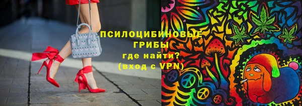 шишки Нефтекумск