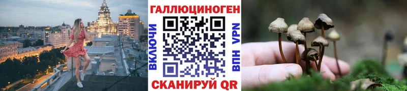 Галлюциногенные грибы ЛСД  Оса 
